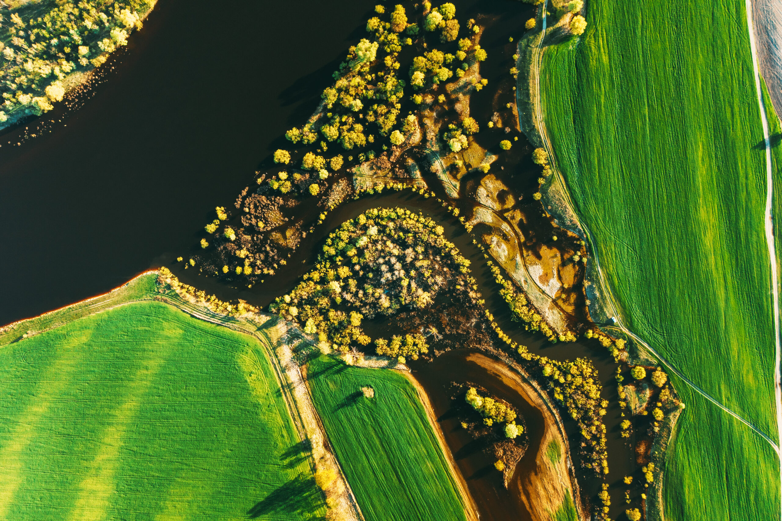 Aerial Flat View Green Meadow, Woods And River Landscape In Sunny Spring Summer Day. Top View Of Nature, Bird’s Eye View. Trees Standing In Water During Spring Flood floodwaters. woods in Water deluge During A Spring Flood. Beautiful spring landscape with reflection in river. inundation river