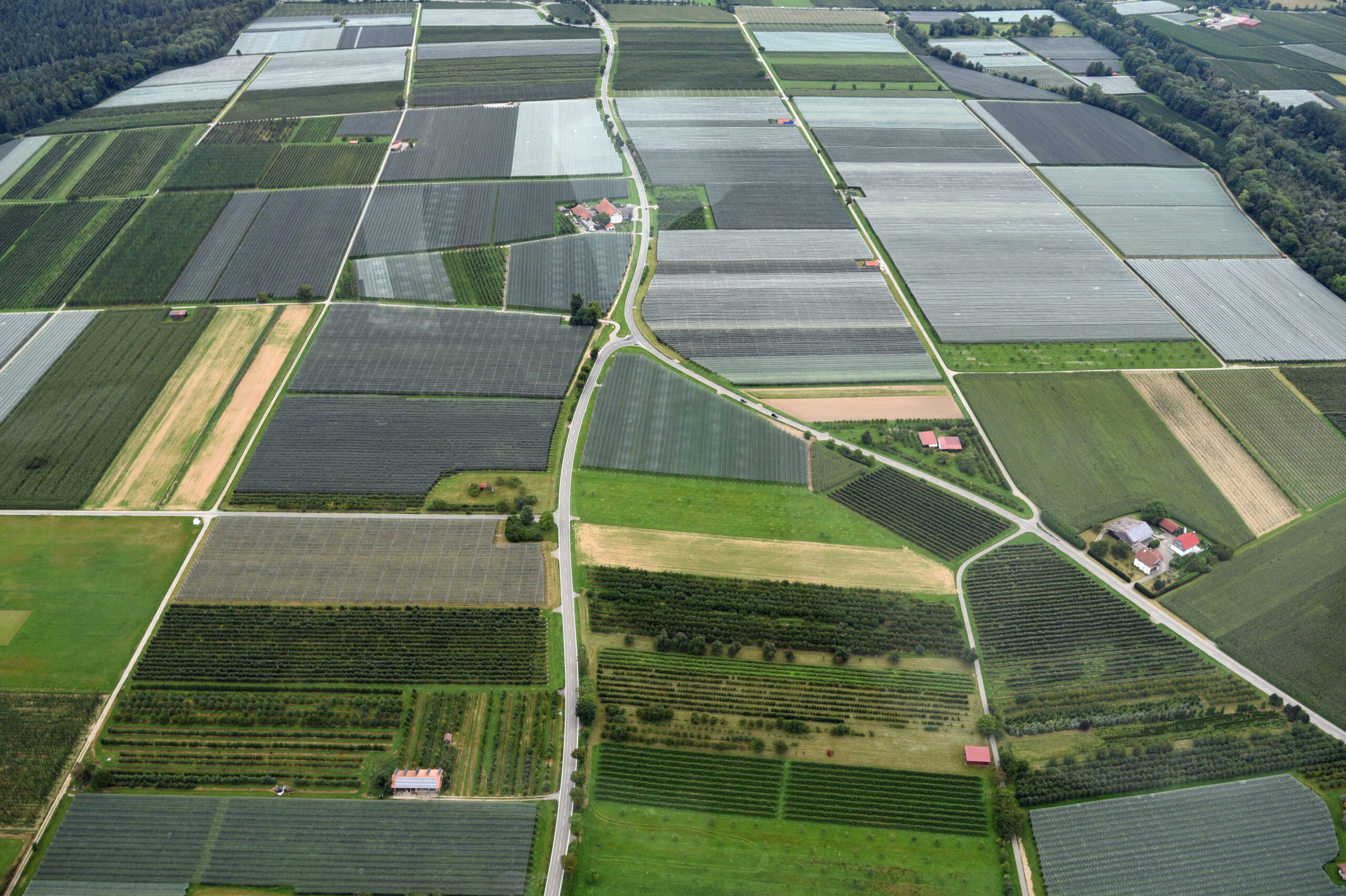 aerial-view-of-meadows-fields-and-orchards-in-sou-2026-03-26-11-33-27-utc