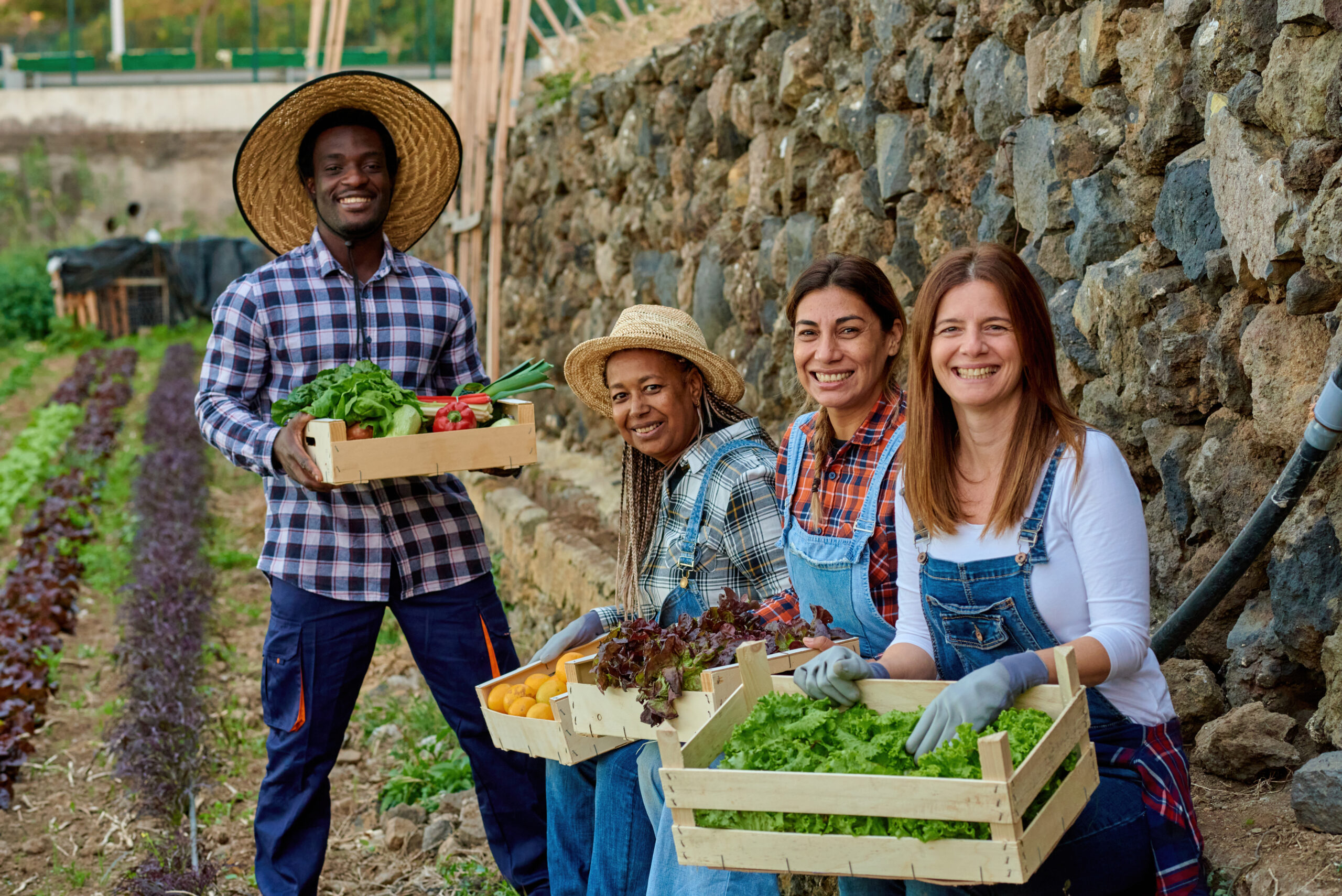 Cheerful multiracial farmers with fresh vegetables in boxes on plantation