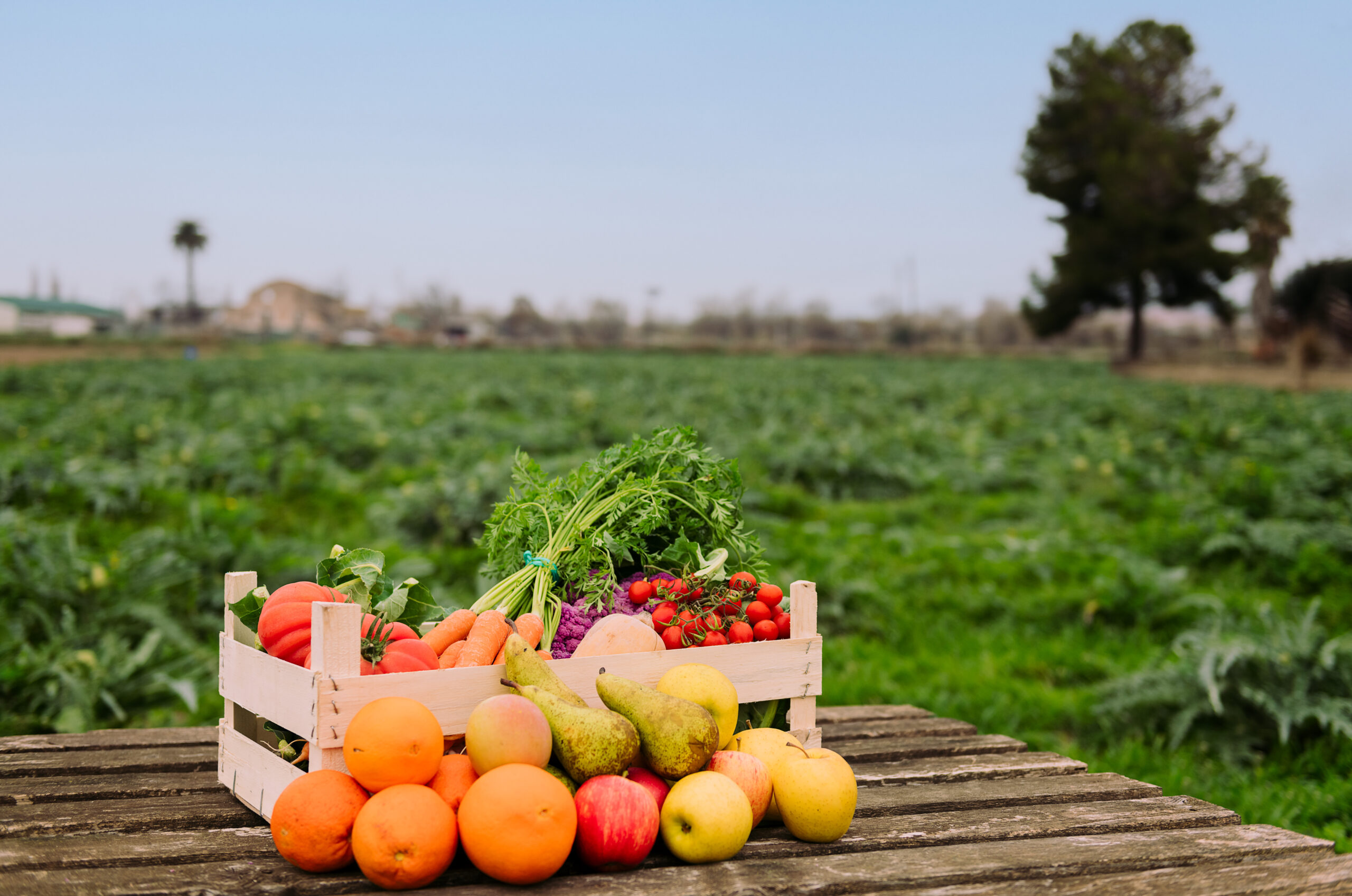 crate with vegetables and fruits in a crop field