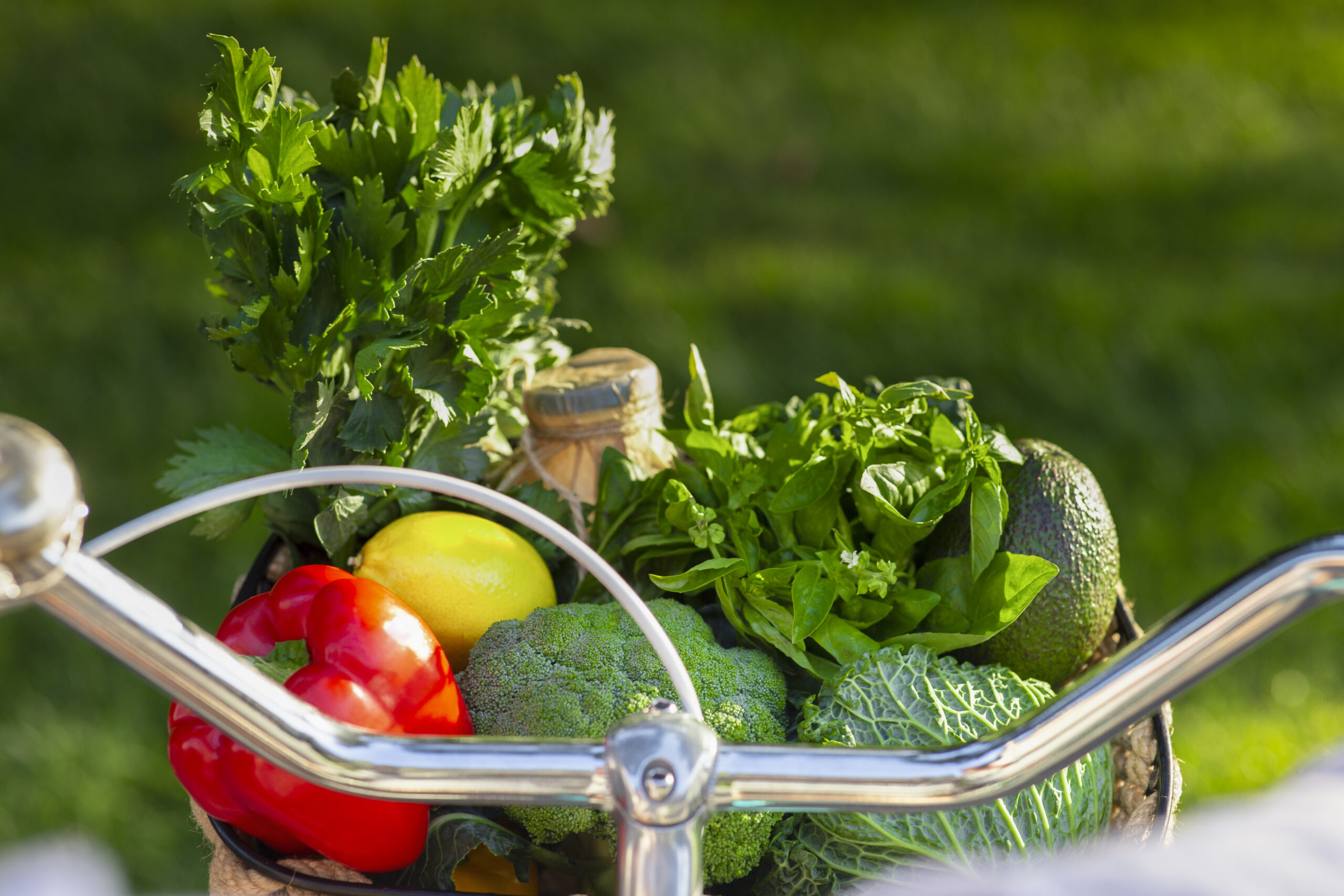 Eco life. Bicycle full of fresh vegetarian products over green grass