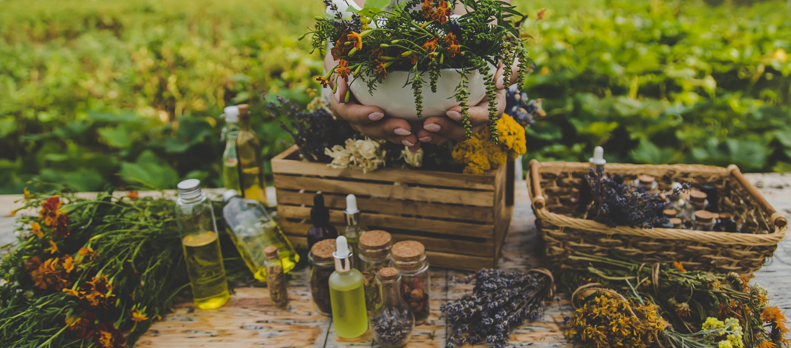 Medicinal herbs and natural tinctures. Selective focus.