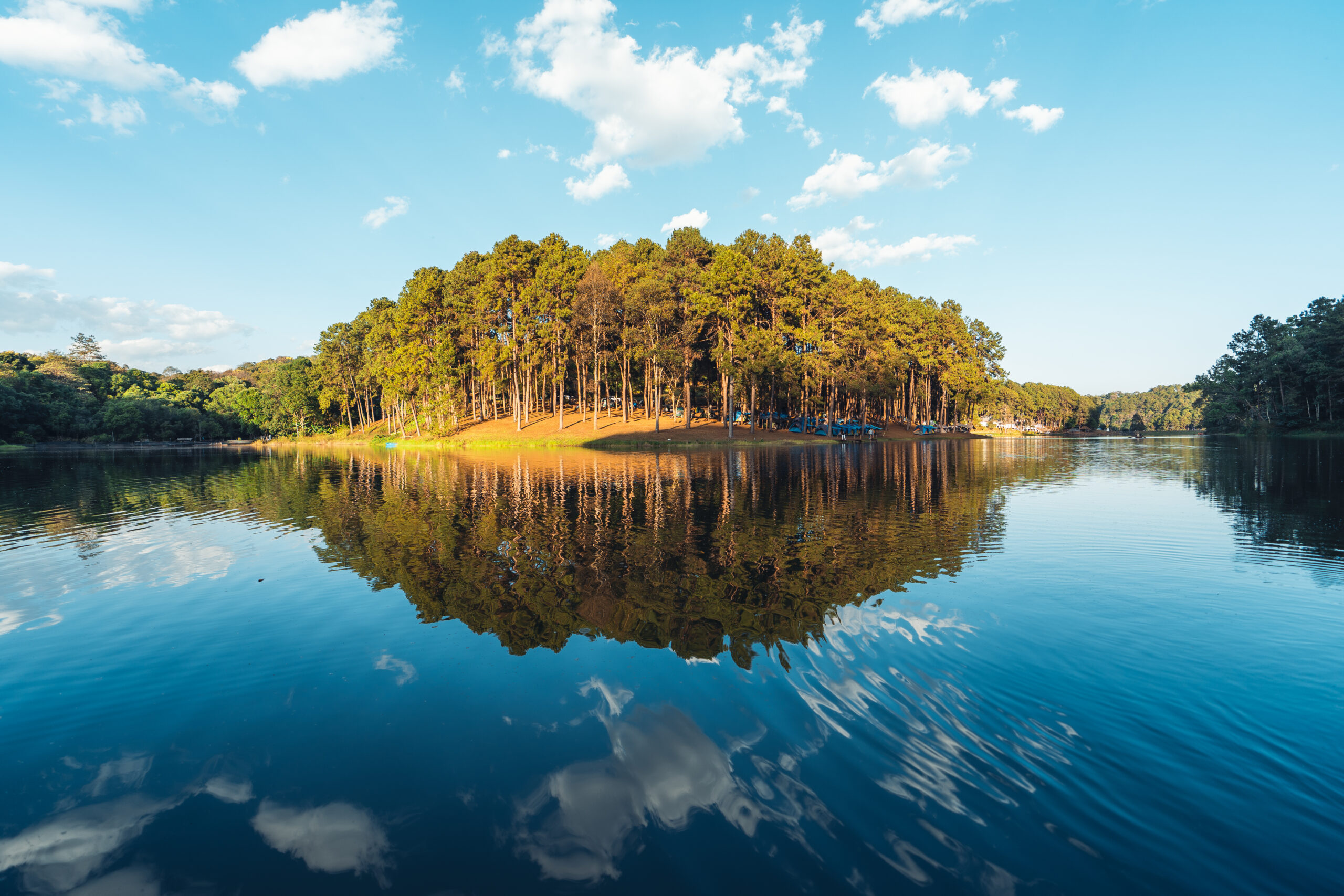 Nature lake and forest Camping location