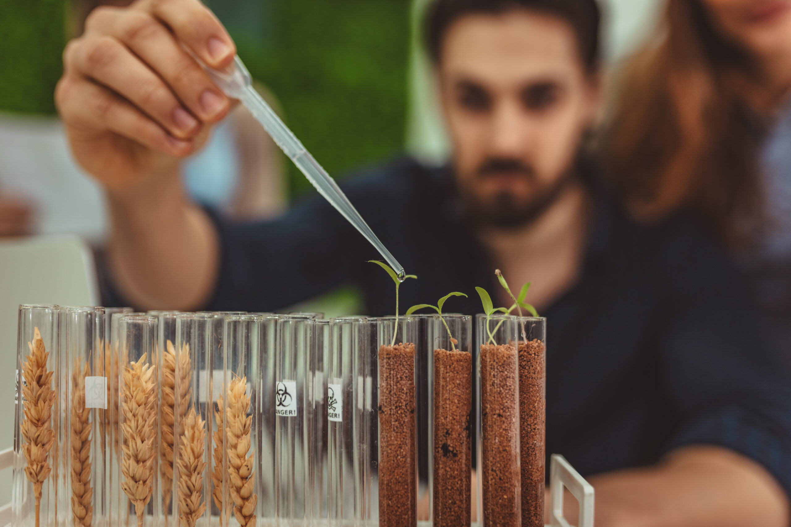 Scientist Making Experiment