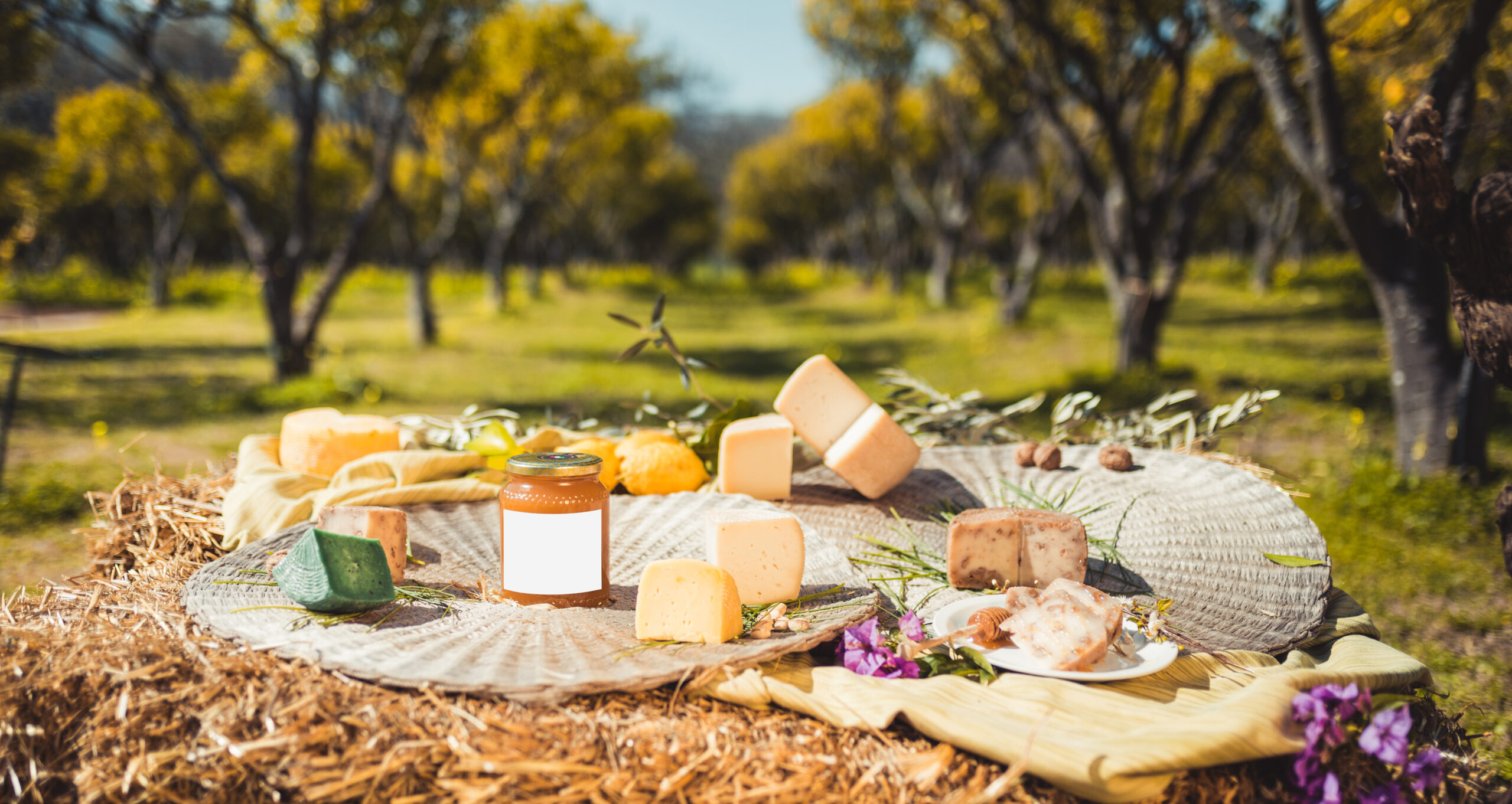various-cheeses-and-a-jar-on-hay-outdoors-2026-03-18-04-32-05-utc